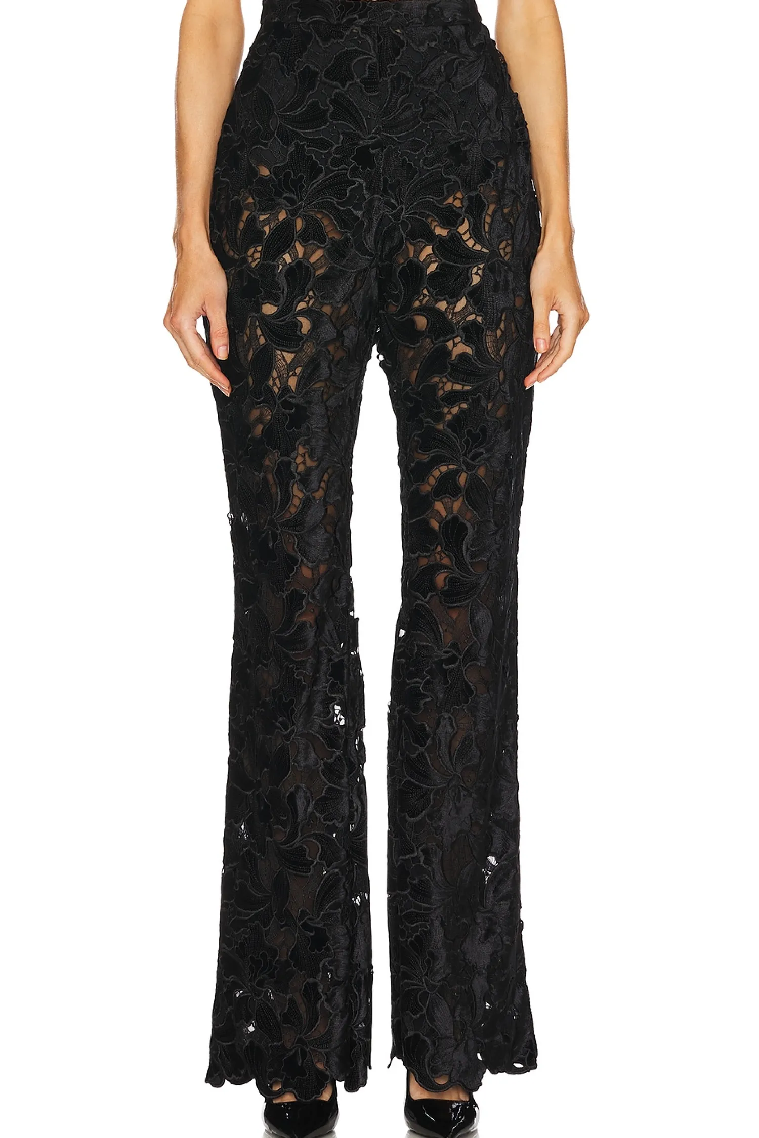 Women Nadine Merabi Pants|Matching Sets>Floral Velvet Lace Trousers