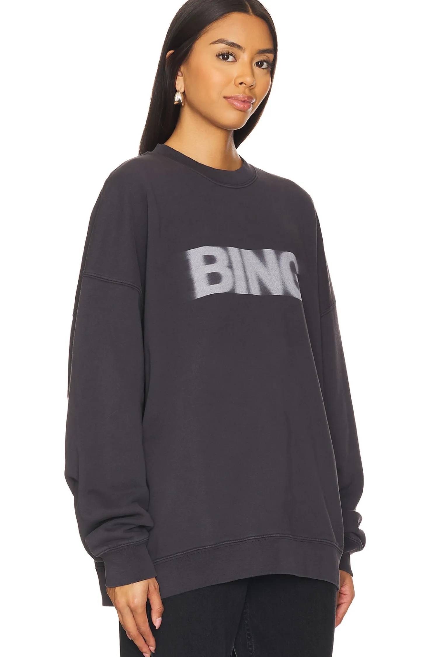 Women ANINE BING Loungewear>Miles Blur Sweatshirt